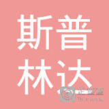 双城联动，科技赋能 记杭州鼎利网络科技石家庄分公司与林达网络的协同发展